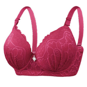 Ladies Bra